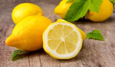 Limonun İnsan Sağlığına Önemli Faydaları Limonun İnsan Sağlığına Önemli Faydaları